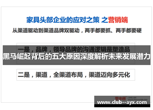 黑马崛起背后的五大原因深度解析未来发展潜力